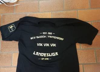 Aufstieg der 1. Mannschaft in die Landesliga 2017